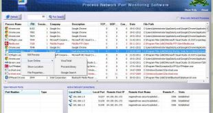 Proc Net Monitor