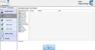 Stellar Registry Manager